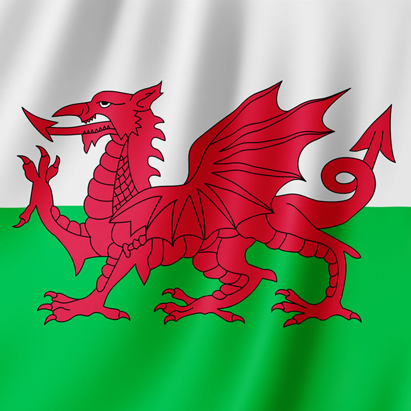 Saint David's Day Image