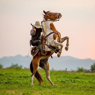 Cowboy Day Image