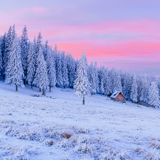 Winter (N. Hem) Image