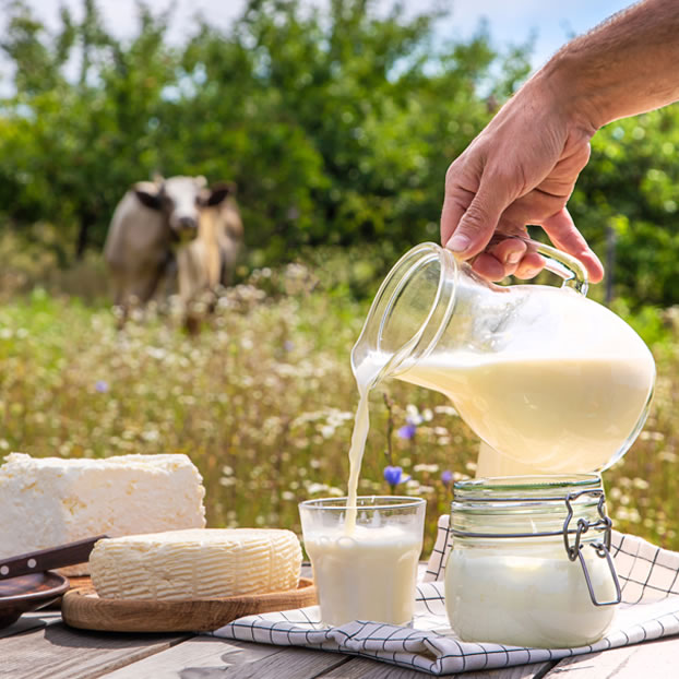 World Milk Day Image