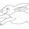 2011 - The Year of the Rabbit Colouring-in