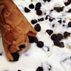 Cooking for Italian Day - Cannoli Dip