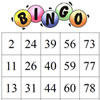 1 - 90 Bingo