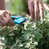 Pruning & Trimming Plants for Seniors