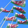 National Anthem of Wales