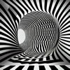 Optical Illusion Trivia