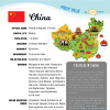 China Fact File
