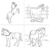 Horses - Coloring for Seniors