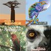 Madagascar Travel Posters