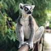 20 Snippets of Trivia from Madagascar