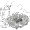 Coloring for Seniors - Bird Finishing His Nest