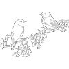 Birds On A Branch Coloring
