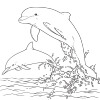 Coloring for Seniors - Dolphins