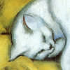 Artist Impression - Franz Marc - Sleeping Cat