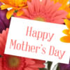 Happy Mother's Day Poster with Flowers