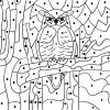Color By Numbers - Owl