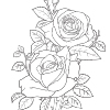Coloring for Seniors - Roses